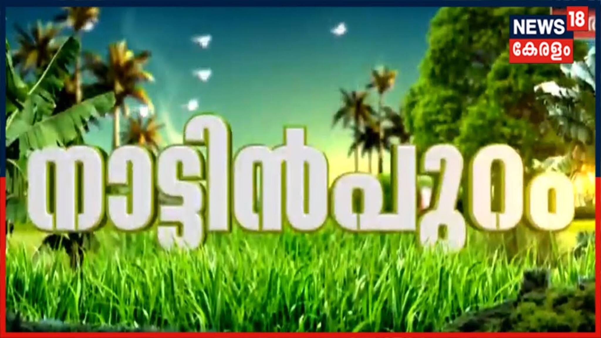 Thrissur Pooram 2021| ഗജവീരന്മാർക്ക് നെറ്റിപ്പട്ടമൊരുക്കി ദേശക്കാർ