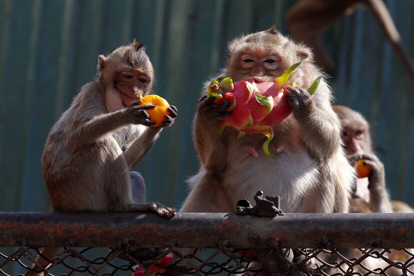  REUTERS/Chaiwat Subprasom - RC1E4B372080
