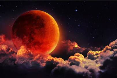 Representative pic: Shutterstock Representative pic: Shutterstock