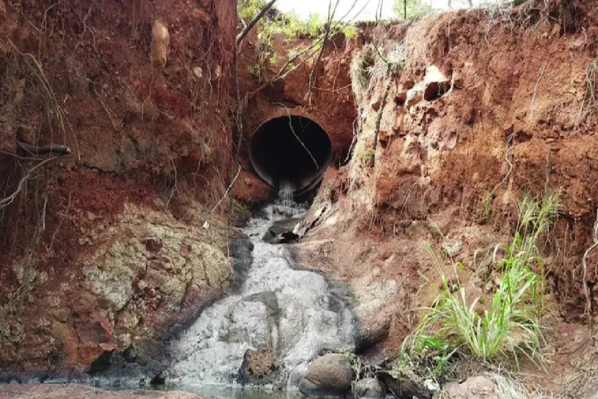 Alcoholic stream | 'Alcoholic' stream on the island of Hawaii; Alcohol was  found in a stream of water - time.news - Time News