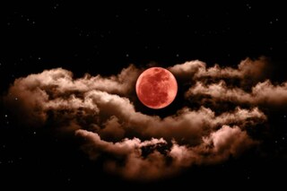 (Representative Image: Shutterstock) (Representative Image: Shutterstock)