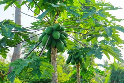 പ്രതീകാത്മക ചിത്രം 