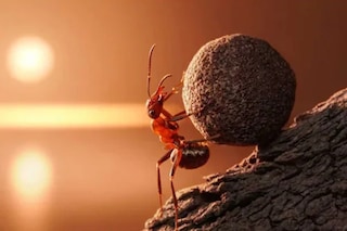 News18 Malayalam News18 Malayalam