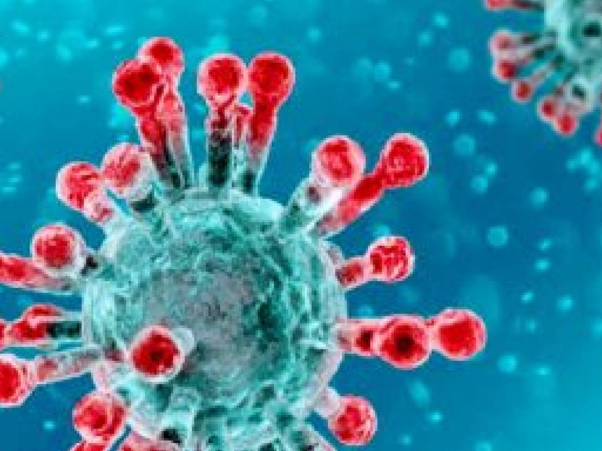 Covid | ഫെബ്രുവരി 26ന് ശേഷം കേരളത്തിൽ കോവിഡ് പാരമ്യത്തിൽ എത്തും; റിപ്പോർട്ട്