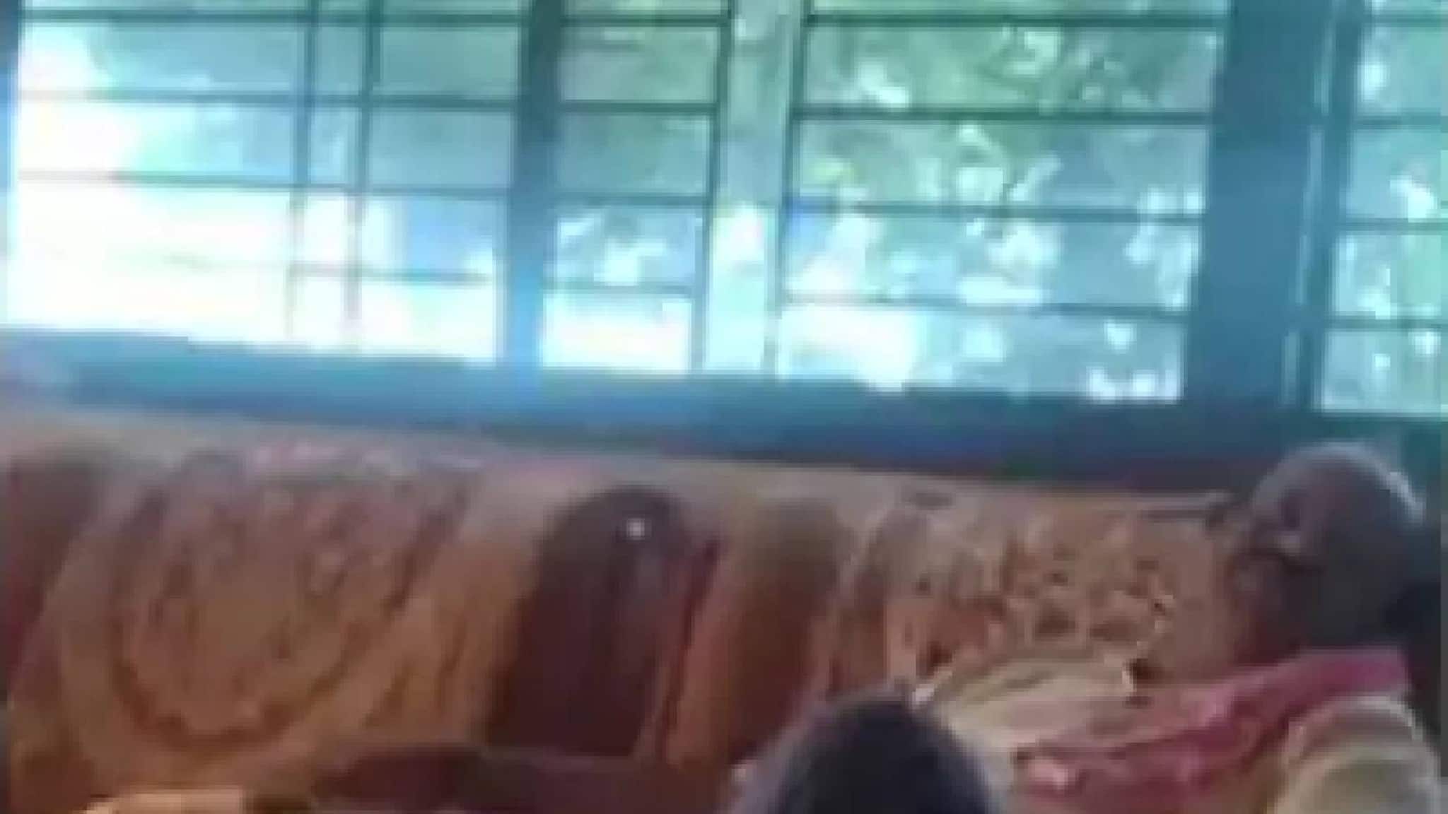 ബിജെപി MLAയെ കൊല്ലാന് ആസൂത്രണം നടത്തുന്ന കോണ്ഗ്രസ് നേതാവ്; വീഡിയോ പുറത്ത് ബിജെപി MLAയെ കൊല്ലാന് ആസൂത്രണം നടത്തുന്ന കോണ്ഗ്രസ് നേതാവ്; വീഡിയോ പുറത്ത്