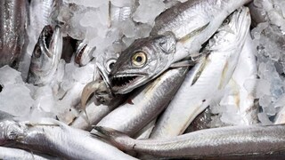 പ്രതീകാത്മക ചിത്രം
