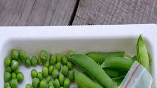 ഗ്രീൻപീസ് 