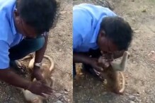 തെരുവുനായ ആക്രമിച്ചു; ജീവന് വേണ്ടി പിടഞ്ഞ് കുരങ്ങ്; കൃത്രിമ ശ്വാസം നല്‍കി ടാക്‌സി ഡ്രൈവര്‍