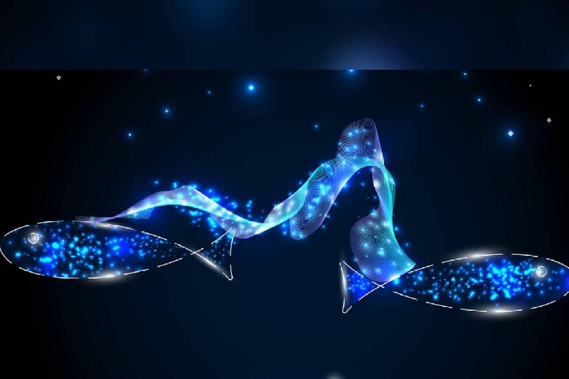  പിസെസ് (Pisces - മീനം രാശി) : ഫെബ്രുവരി 19നും മാര്‍ച്ച് 20നും ഇടയില്‍ ജനിച്ചവര്‍ വരാനിരിക്കുന്ന ഒരു അഭിമുഖത്തെക്കുറിച്ച് പരിഭ്രാന്തരാകാൻ സാധ്യതയുണ്ട്. എന്നാൽ ആ അഭിമുഖം നിങ്ങൾക്ക് തീർച്ചയായും നല്ല നാളുകൾ സമ്മാനിക്കും. അതിൽ നിങ്ങൾ വിജയിക്കുകയും ചെയ്യും. മഴയുള്ള ദിവസത്തിനായി നിങ്ങൾ ചില തയ്യാറെടുപ്പുകൾ നടത്തും. ലക്ഷ്യങ്ങളെ ഉത്കണ്ഠയോടുകൂടി സമീപിക്കാതെ ഇരിക്കുക. നിങ്ങൾ നടത്തിയ തയ്യാറെടുപ്പുകൾക്കുള്ള ഫലം നിങ്ങളെ തേടി എത്തും. മാനസികമായി തളർന്നു പോകാതെ ഇരിക്കാൻ പ്രത്യേകം ശ്രദ്ധിക്കണം. ഭാഗ്യ ചിഹ്നം - ഒരു പുതിയ കാർ
