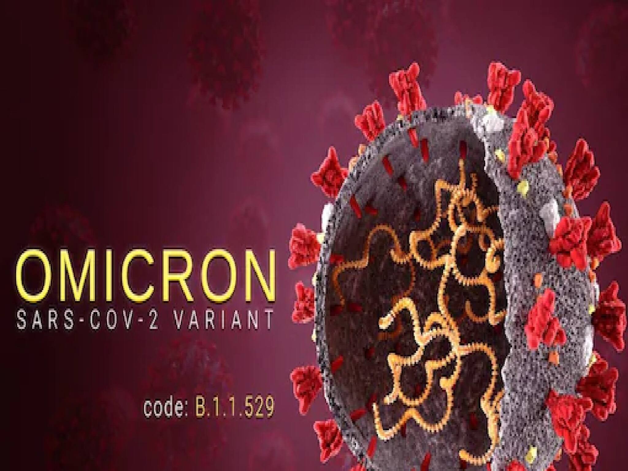 COVID-19 | ഒമിക്രോൺ അതിവേഗ വ്യാപനം; അണുബാധ തടയാൻ  നിത്യ ജീവിതത്തിൽ നിന്നും ഒഴിവാക്കേണ്ട അഞ്ച് കാര്യങ്ങൾ 