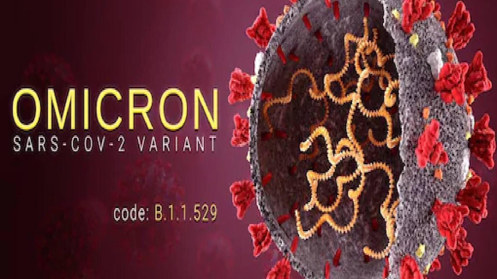 COVID-19 | ഒമിക്രോൺ അതിവേഗ വ്യാപനം; അണുബാധ തടയാൻ  നിത്യ ജീവിതത്തിൽ നിന്നും ഒഴിവാക്കേണ്ട അഞ്ച് കാര്യങ്ങൾ 