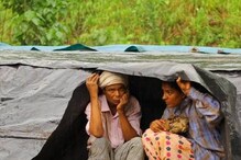 അന്താരാഷ്ട്ര പുരസ്‌കാരങ്ങൾ സ്വന്തമാക്കിയ ഇന്ദ്രൻസിന്റെ 'വെയിൽമരങ്ങൾ' ഡിജിറ്റൽ റിലീസിലേക്ക്