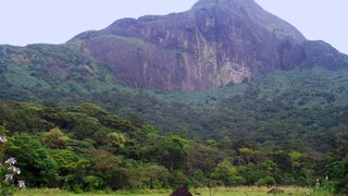 അഗസ്ത്യാർകൂടം