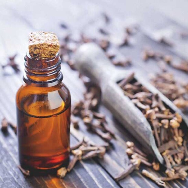  ഗ്രാമ്പൂ എണ്ണ എങ്ങനെ ഉപയോഗിക്കാം? ഗ്രാമ്പൂ എണ്ണ നിങ്ങളുടെ മുറിയിൽ സ്പ്രേ ചെയ്യാം. ഇതിന്റെ സുഗന്ധം രക്തയോട്ടം മെച്ചപ്പെടുത്തുകയും മനസ്സിനെ ശാന്തമാക്കുകയും ചെയ്യുന്നു. ഗ്രാമ്പൂ എണ്ണ ഒരു ഡിഫ്യൂസറിലും ഉപയോഗിക്കാം. എന്നിരുന്നാലും, നിങ്ങൾക്ക് ഏതെങ്കിലും തരത്തിലുള്ള ആരോഗ്യപ്രശ്നങ്ങൾ ഉണ്ടെങ്കിൽ, നിങ്ങളുടെ ഡോക്ടറുമായി ബന്ധപ്പെട്ടതിനുശേഷം മാത്രം ഉപയോഗിക്കുക