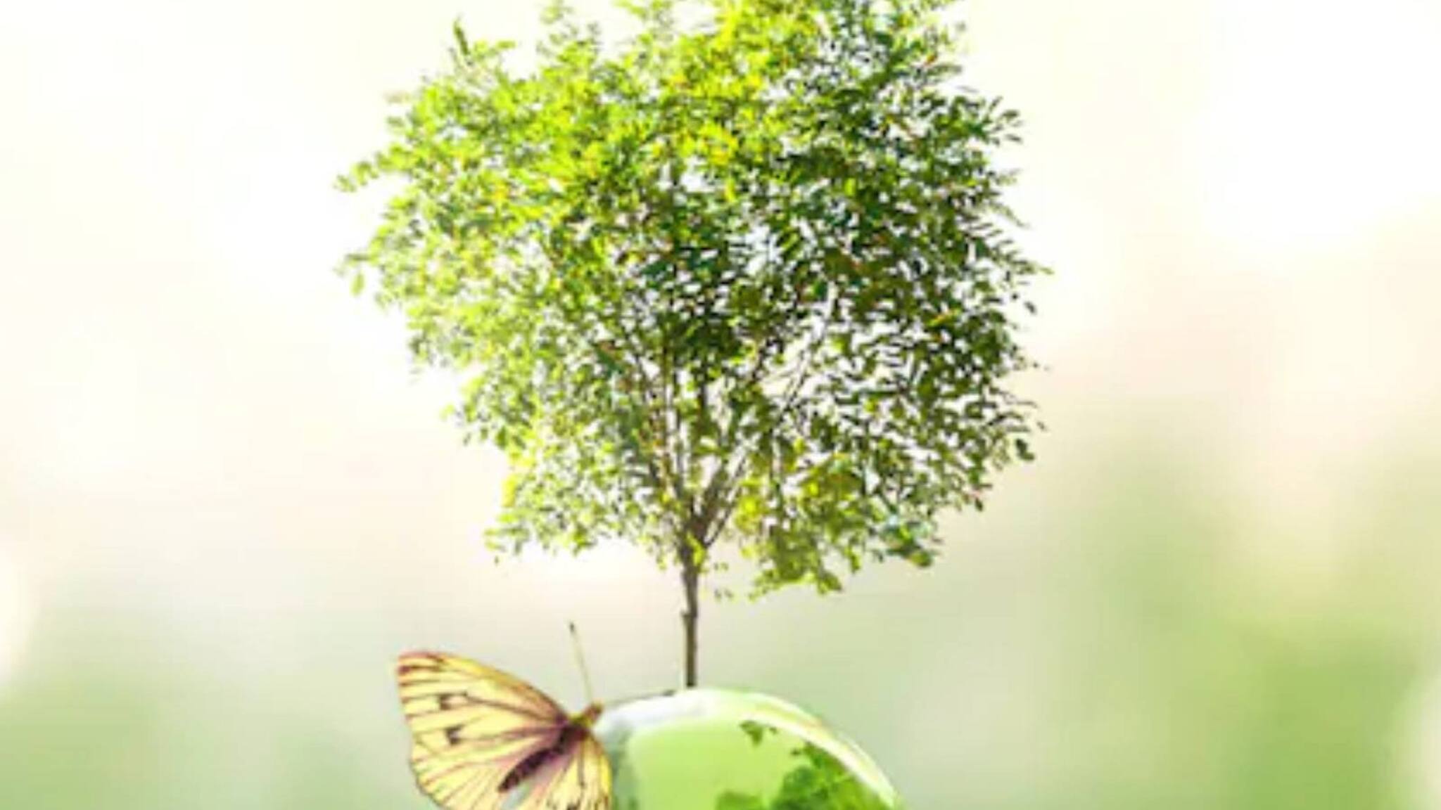 Green Hydrogen | ആത്മനിർഭർ ഭാരത്; ലോകത്തിന് വേണ്ടി ഇന്ത്യയ്ക്ക് എങ്ങനെ ഗ്രീൻ ഹൈഡ്രജൻ ഉത്പാദിപ്പിക്കാൻ കഴിയും?