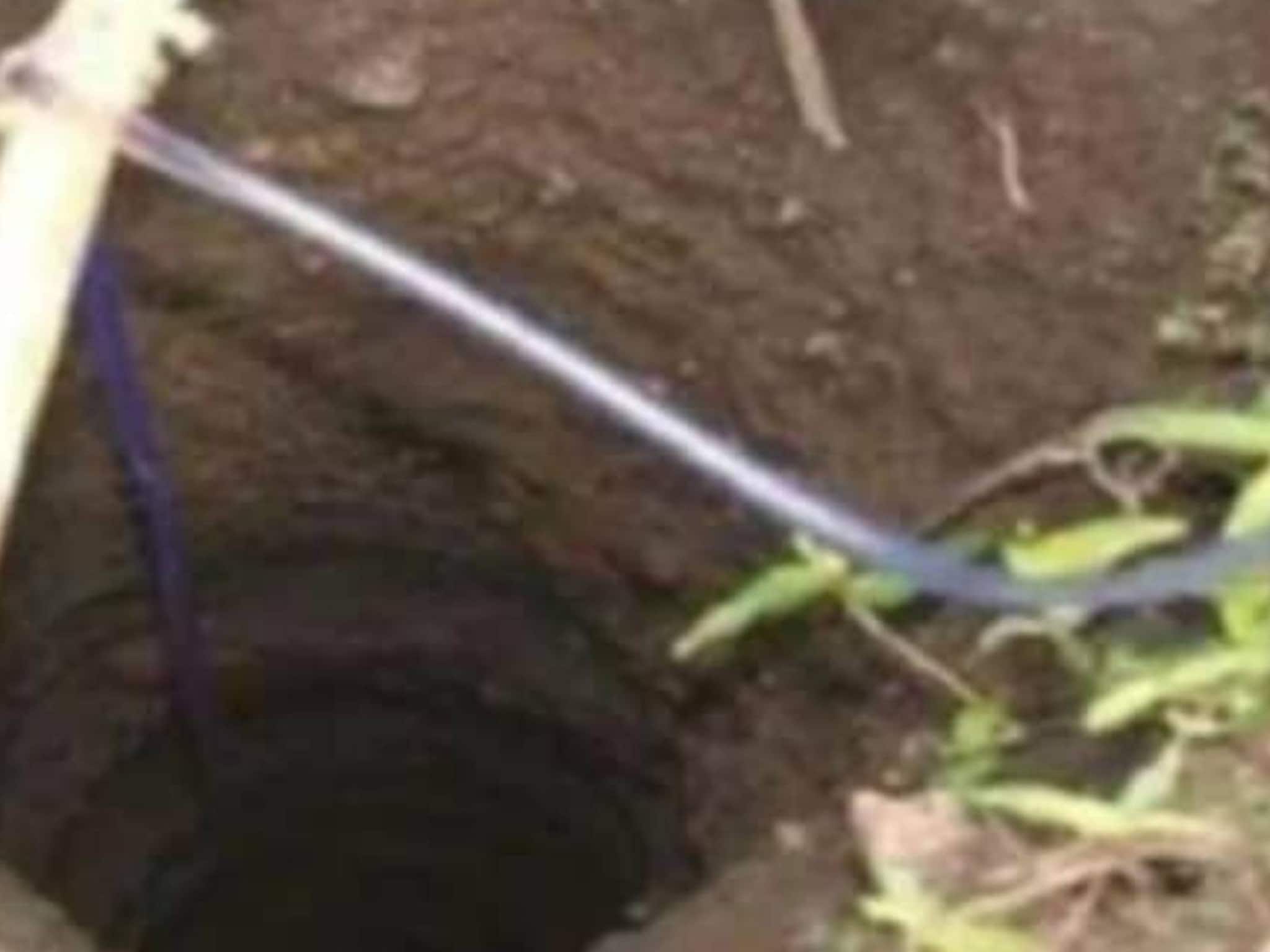 Child trapped in borewell| 50 അടി താഴ്ച്ചയുള്ള കുഴൽകിണറിൽ നാല് വയസ്സുകാരൻ വീണു; 24 മണിക്കൂർ നീണ്ട രക്ഷാപ്രവർത്തനം