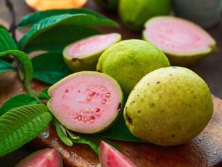 Guava  Guava