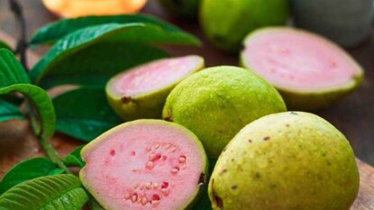 Guava Guava