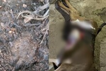 Leopard | പാലക്കാട് ധോണിയിൽ പുലി ശല്യം രൂക്ഷം; ഭീതിയിൽ നാട്ടുകാർ
