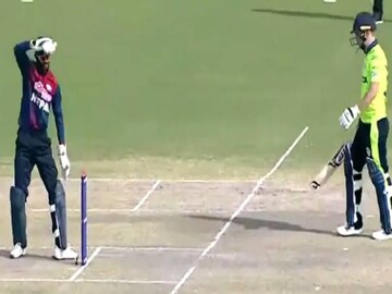 (Image: Screengrab, Twitter  Video)