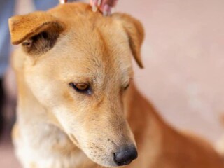 പ്രതീകാത്മക ചിത്രം പ്രതീകാത്മക ചിത്രം