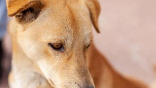 പ്രതീകാത്മക ചിത്രം പ്രതീകാത്മക ചിത്രം