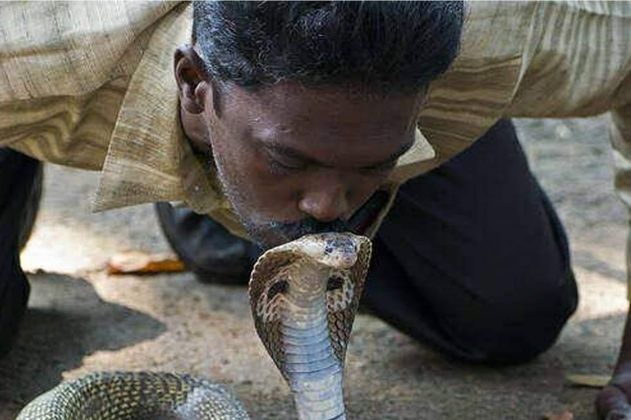 വനംവകുപ്പ് ഉദ്യോഗസ്ഥനെതിരെ വാവ സുരേഷ്