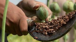 പ്രതീകാത്മക ചിത്രം പ്രതീകാത്മക ചിത്രം