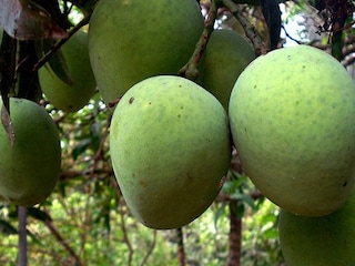 image: wikipedia image: wikipedia