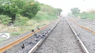 പ്രതീകാത്മക ചിത്രം