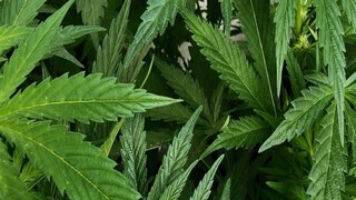 പ്രതീകാത്മക ചിത്രം