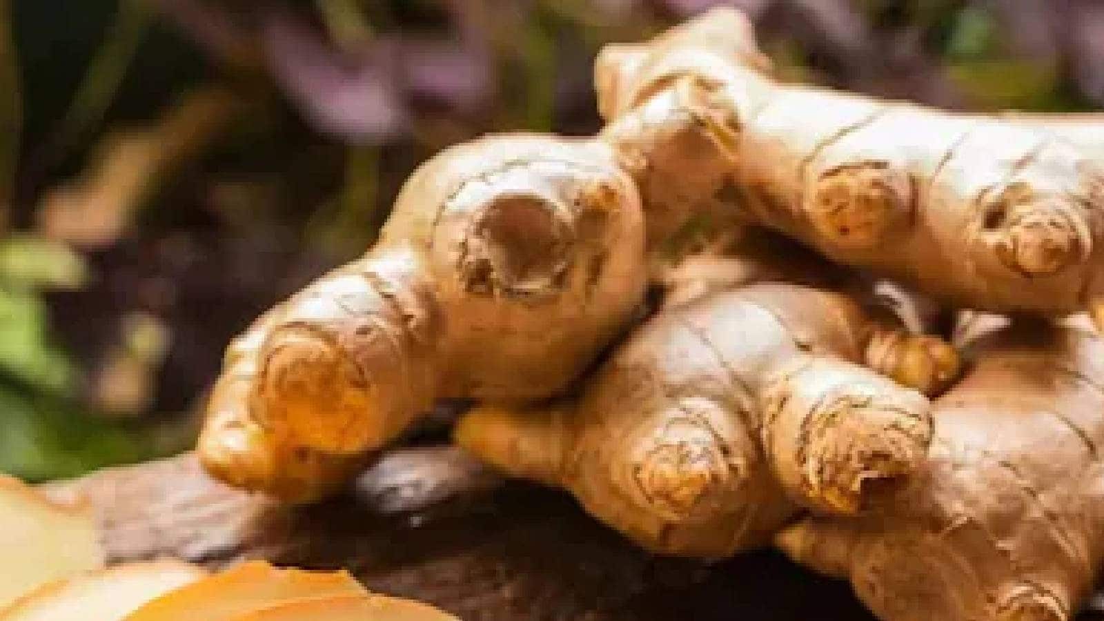 Ginger Health Benefits ഇഞ്ചിയും ചുക്കും കഴിക്കുന്നതിന്റെ ആരോഗ്യ
