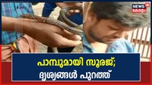 Video| പാമ്പുകളെ കൈകാര്യം ചെയ്യാൻ സൂരജ് മിടുക്കൻ; വീഡിയോ ദൃശ്യങ്ങൾ പുറത്ത്