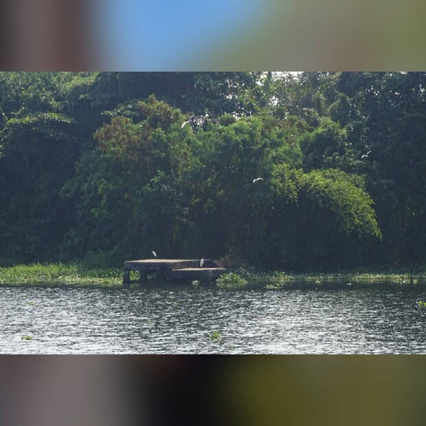  കുമരകം(Kumarakom), മുഹമ്മ (Muhamma) എന്നിവിടങ്ങളിൽ നിന്നു നിലവിലുള്ള യാത്രാസർവീസുകൾ വിനോദസഞ്ചാരികൾക്കു (tourists) കൂടി ഗുണകരമാകുന്ന തരത്തിൽ ക്രമീകരിക്കുകയാണു ചെയ്യുന്നത്. ബോട്ടിൽ നിന്നു തന്നെ ടിക്കറ്റ് എടുക്കാം.