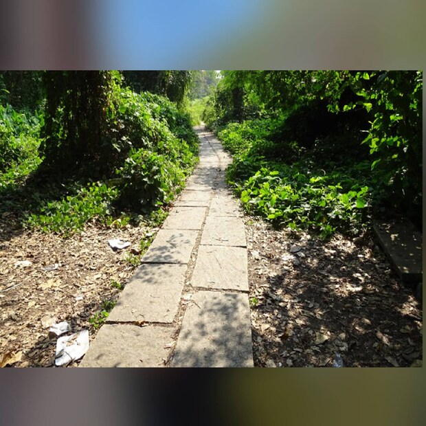  ആലപ്പുഴ ജില്ലയില്‍ മുഹമ്മ പഞ്ചായത്തില്‍ പെടുന്ന ജനവാസമില്ലാത്ത ദ്വീപാണ് പാതിരാമണല്‍. കണ്ടല്‍ക്കാടുകളും മറ്റു ജല സസ്യങ്ങളും കുറ്റിച്ചെടികളും ചേര്‍ന്ന് പക്ഷികളുടെ ആവാസകേന്ദ്രമായ ഈ ഭൂമിയ്ക്ക് 50 ഏക്കറോളം വിസ്തൃതിയുണ്ട്. അനന്തപത്മനാഭന്‍ തോപ്പ് എന്നറിയപ്പെട്ടിരുന്ന ഈ ദ്വീപ് നേരത്തേ സ്വകാര്യ ഭൂമിയായിരുന്നു. പാതിരാ കൊക്കുകളുടെ പ്രജനന കേന്ദ്രമാണ് ഇവിടം. മുഹമ്മ ജെട്ടിയില്‍ നിന്ന് ഒന്നര മണിക്കൂര്‍ ബോട്ടില്‍ സഞ്ചരിച്ചാല്‍ പാതിരാമണലില്‍ എത്താം. കിഴക്ക് കുമരകത്തെ ബേക്കര്‍ ബംഗ്ലാവ് ജെട്ടിയില്‍ നിന്നും ഇവിടേക്കെത്താം.