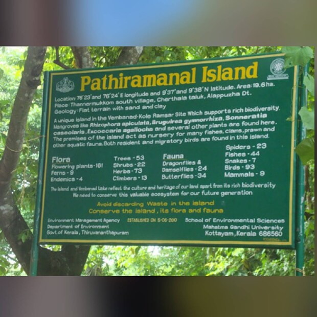  ദേശാടന പക്ഷികള്‍ ഉള്‍പ്പെടെ 150 ഓളം പക്ഷി ഇനങ്ങള്‍ ഈ ദ്വീപിലും പരിസരത്തുമായി ഉളളതായി പക്ഷി നിരീക്ഷകര്‍ രേഖപ്പെടുത്തിയിട്ടുണ്ട്. വാലന്‍ എരണ്ട, എരണ്ട, പാതിരാ കൊക്ക്, കിന്നരി നീര്‍കാക്ക, ചേര കൊക്ക്, നീര്‍കാക്ക, താമരക്കോഴി, പാത്തി കൊക്കന്‍, മീന്‍ കൊത്തി, ചൂളന്‍ എരണ്ട തുടങ്ങി ഒട്ടേറെ ഇനം പക്ഷികള്‍ പക്ഷി നിരീക്ഷകരുടെ സ്വര്‍ഗ്ഗമായി ഇതിനെ മാറ്റിയിട്ടുണ്ട്.