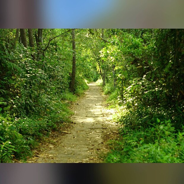  കുമരകം–പാതിരാമണൽ (രാവിലെ 11.00) രാവിലെ 11 മണിക്കുള്ള കുമരകം – മുഹമ്മ സർവീസ് സർവീസ് പാതിരാമണൽ വഴി തിരിച്ചുവിടും. വിനോദസഞ്ചാരികളെ പാതിരാമണലിൽ ഇറക്കിയ ശേഷം ബോട്ട് മുഹമ്മയ്ക്കു പോകും. മുഹമ്മയിൽ നിന്നുള്ള മടക്ക യാത്രയിൽ ബോട്ട് പാതിരാമണലിൽ എത്തി സഞ്ചാരികളെയും കയറ്റി കുമരകത്ത് എത്തും. രണ്ടു സർവീസുകളിലും ഒരു വശത്തേക്ക് 40 രൂപയാണ് ചാർജ്.