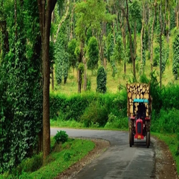  <strong>കൂർ​ഗ്, കർണാടക (Coorg, Karnataka) :</strong> മെയ് മാസത്തിൽ യാത്ര പോകാൻ ഏറ്റവും അനുയോജ്യമായ സ്ഥലങ്ങളിലൊന്നാണ് കൂർ​ഗ്. ആബി വെള്ളച്ചാട്ടം, ഇരുപ്പ് വെള്ളച്ചാട്ടം, നാഗർഹോള ദേശീയ ഉദ്യാനം, നിസർഗധാമ വനങ്ങൾ തുടങ്ങിയവയാണ് കൂർ​ഗിലെ പ്രധാന ആകർഷണങ്ങൾ. നയന മനോഹരമായ കാഴ്ചകൾക്കു പുറമേ, റിവർ റാഫ്റ്റിംഗ്, ട്രെക്കിംഗ് തുടങ്ങിയ സാഹസിക വിനോദങ്ങളും കൂർ​ഗിലെത്തിയാൽ ആസ്വദിക്കാം. (Image Credits: Shutterstock)