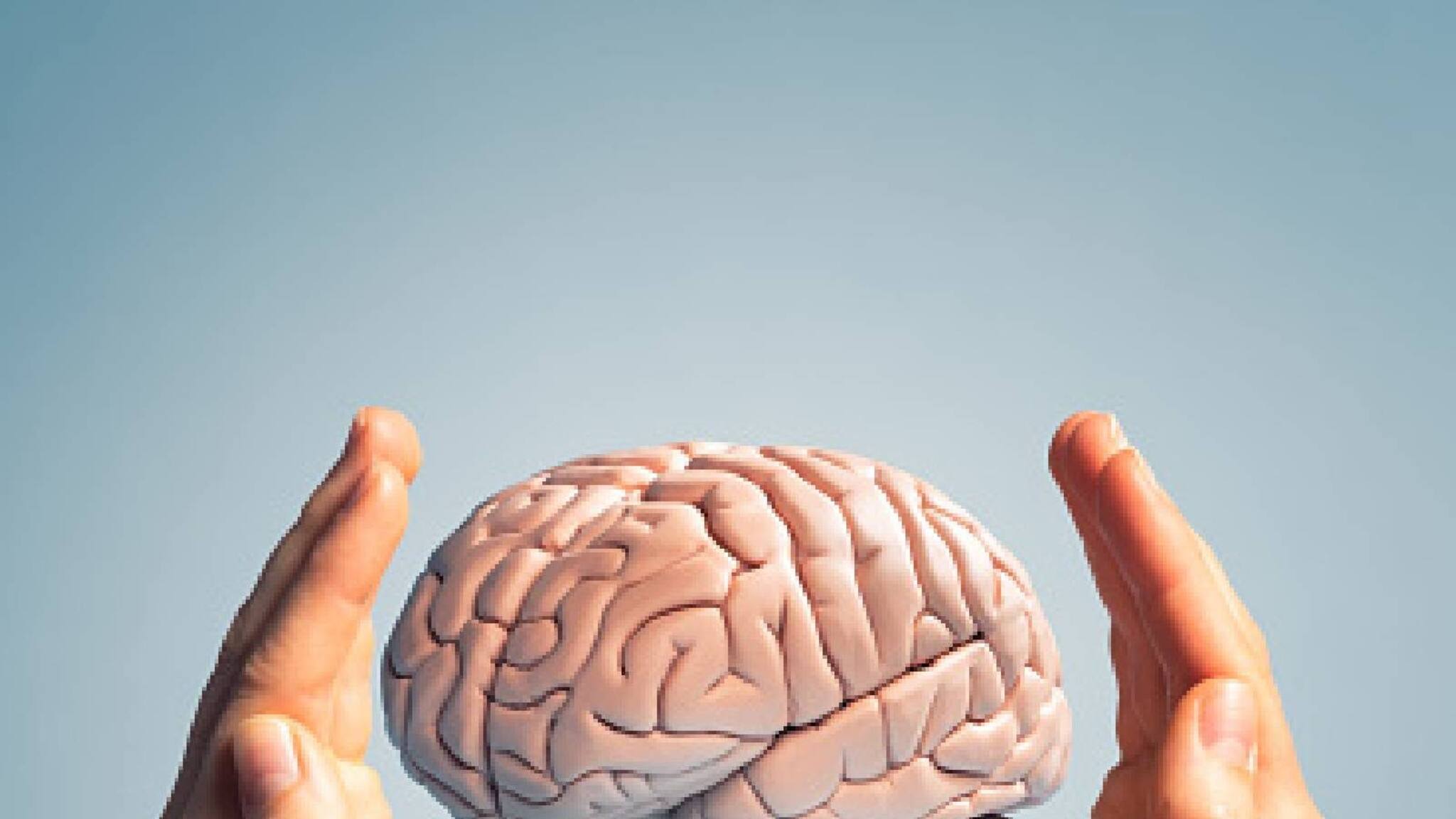 മസ്തിഷ്ക്കത്തിന്‍റെ ശേഷി വർദ്ധിപ്പിക്കാൻ സഹായിക്കുന്ന ഏഴ് കാര്യങ്ങൾ