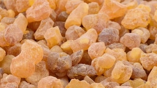 Photo-Shutterstock
Photo-Shutterstock