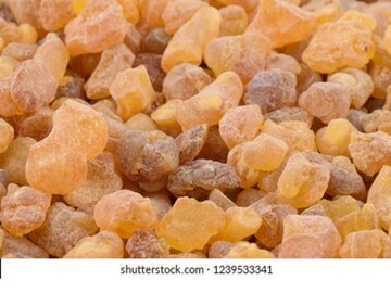 Photo-Shutterstock
