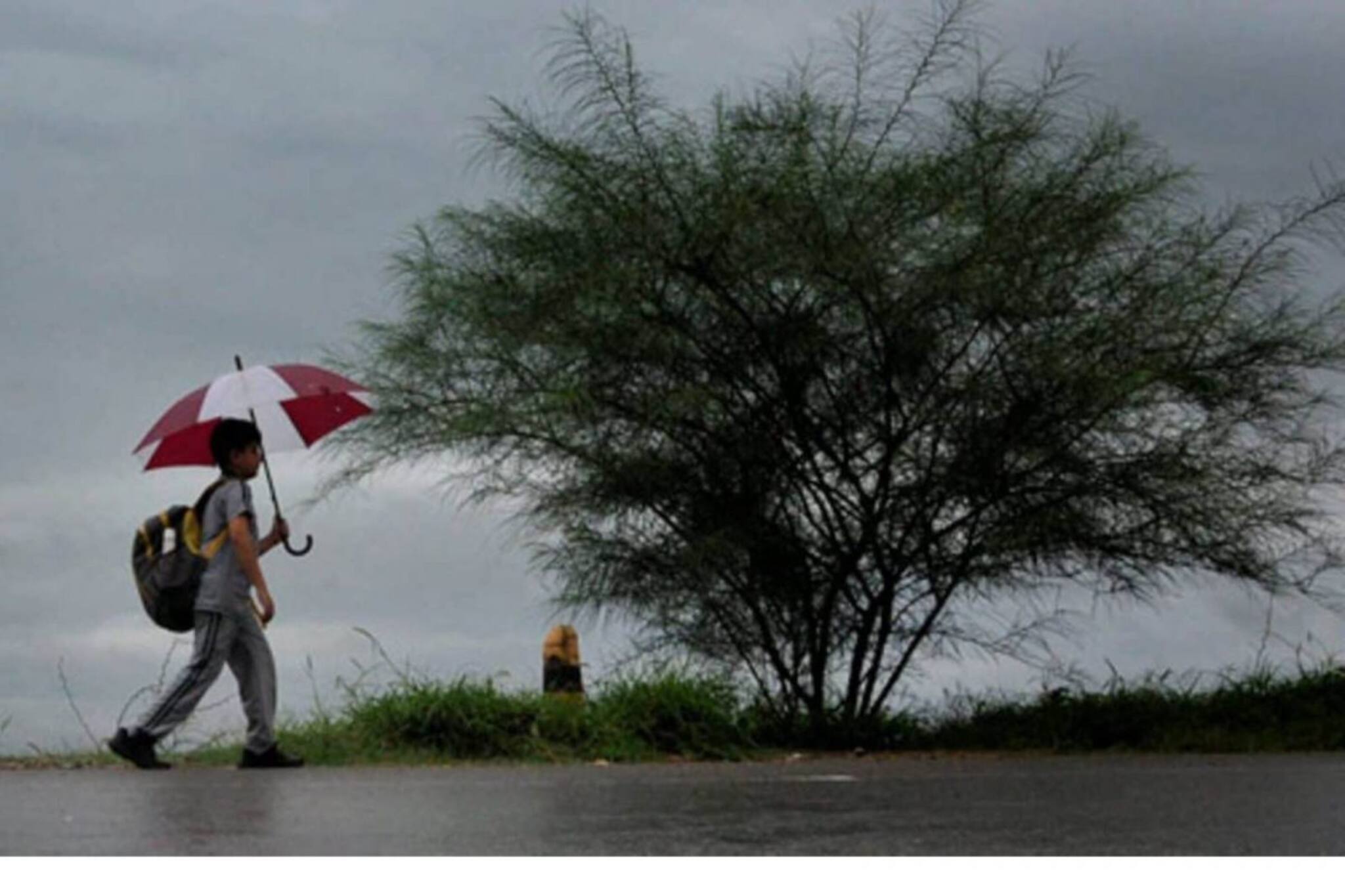 ജൂൺ 7 മുതൽ കാലവർഷം ശക്തമാകും; ജൂൺ, ജൂലൈ മാസങ്ങളിൽ മൺസൂൺ കുറയുമെന്ന് പ്രവചനം