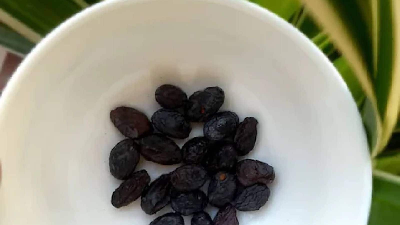 Black Raisins കൊളസ്ട്രോൾ കുറയ്ക്കാം; മുടികൊഴിച്ചിൽ അകറ്റാം; കറുത്ത