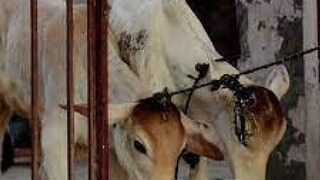 പ്രതീകാത്മക ചിത്രം