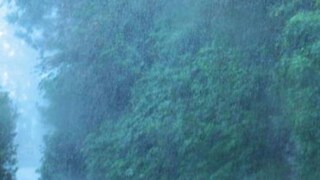 പ്രതീകാത്മക ചിത്രം