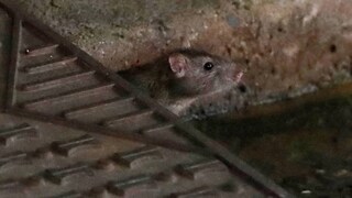 പ്രതീകാത്മക ചിത്രം