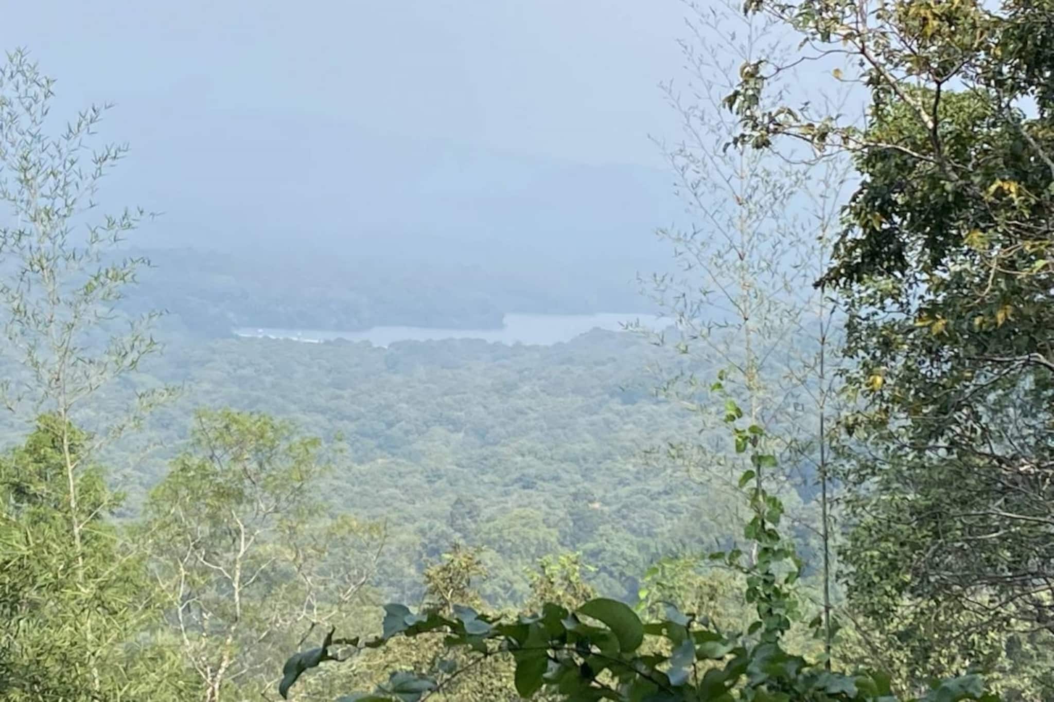 എന്താണ് ബഫര്‍സോണ്‍? എങ്ങനെയാണ് ജനങ്ങളെ ബാധിക്കുക?