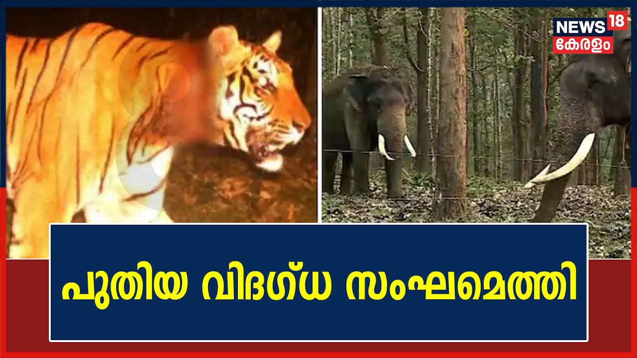കുറുക്കൻമൂലയിൽ കടുവയെ തിരയാൻ പുതിയ വിദ​ഗ്ധ സംഘമെത്തി