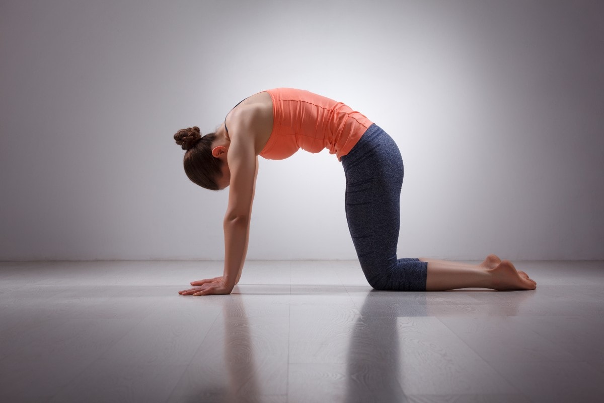 Benefits of Yoga: Do Ustrasana or Camel pose daily to improve breathing,  anxiety, and cure constipation | Health News, Times Now