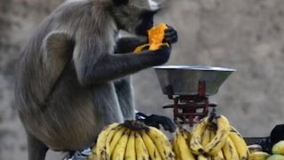 പ്രതീകാത്മക ചിത്രം (Image: SANJAY KANOJIA/AFP)